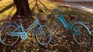 Велосипедные маршруты по Европе: от альпийских вершин до морских побережий