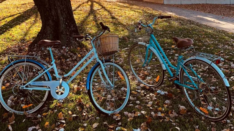 Велосипедные маршруты по Европе: от альпийских вершин до морских побережий