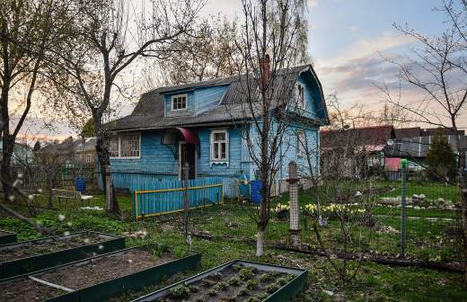 Эксперт рассказал о способах защитить садовый участок от испанского слизня