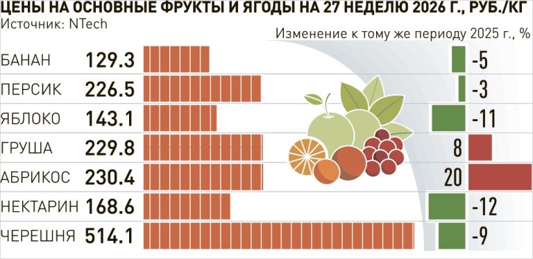Цены ниже, чем в прошлом году. В России заметно подешевели черешня, абрикосы и нектарины