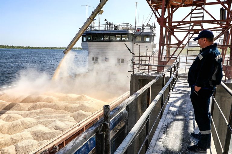 Чем грозят ограничения экспорта российского продовольствия через Черное и Азовское моря